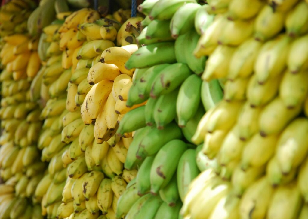 Bananes à grande valeur nutritionnelle vrac