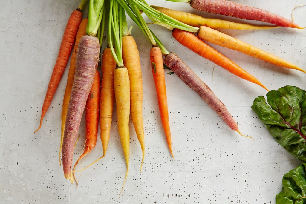 carottes de couleurs valeur nutritionnelle